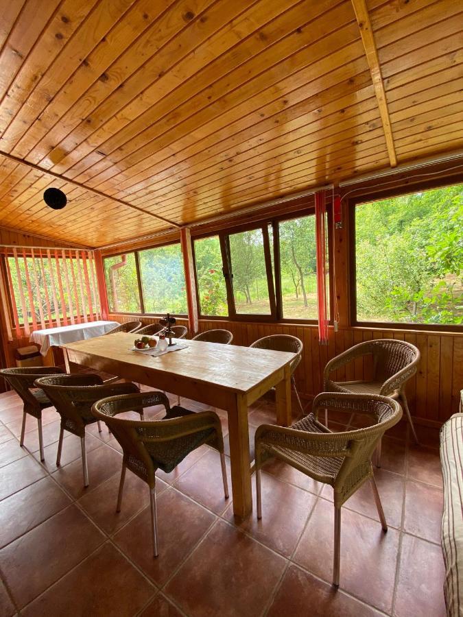 Ab'S Rustic Cabin Dejani Exteriör bild